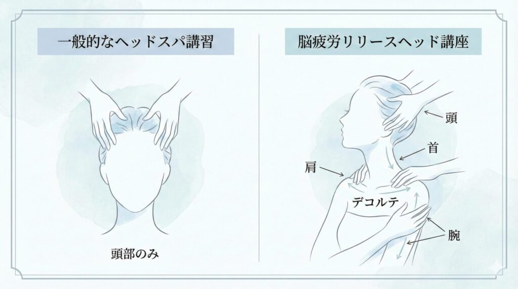 一般的なヘッドスパ講習と脳疲労リリースヘッド講座の施術範囲の違いを示す図解