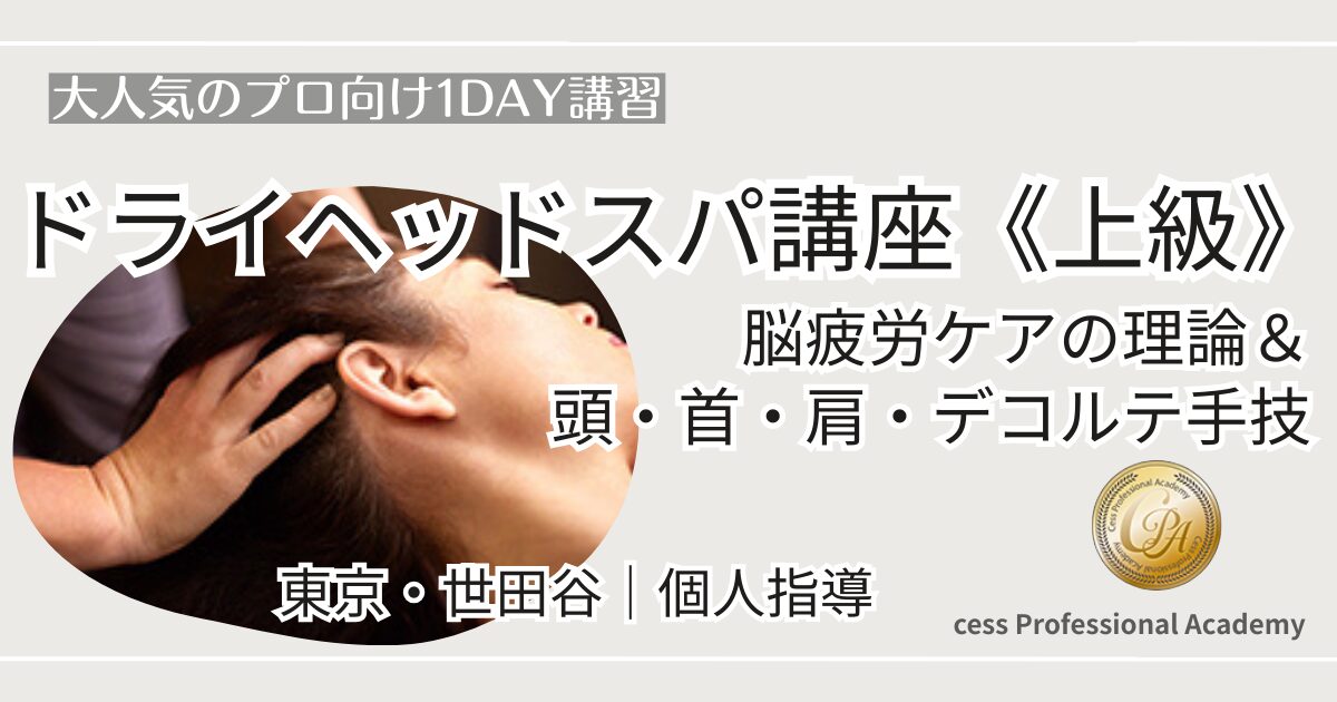 プロ向けドライヘッドスパ上級講習