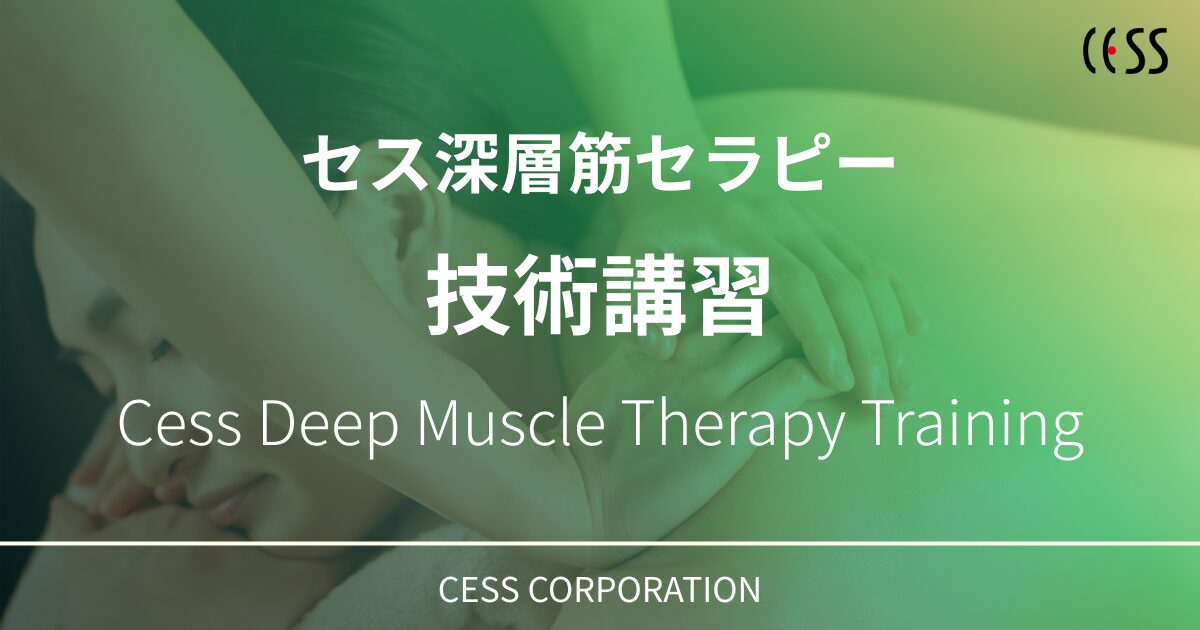 深層筋セラピー技術講習の案内バナー|Cess Deep Muscle Therapy