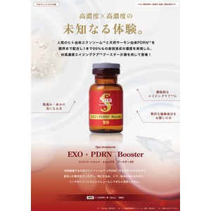 exo+PNブースター99製品チラシ