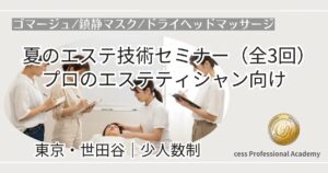 セス定期セミナー2026年夏〜秋｜東京世田谷で開催する少人数制プロエステティシャン向け技術講習（7月・8月・9月）